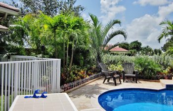 landscaped backyard with swimming pool