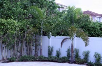 landscaped backyard with swimming pool