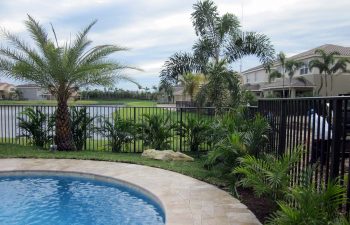 landscaped backyard with swimming pool