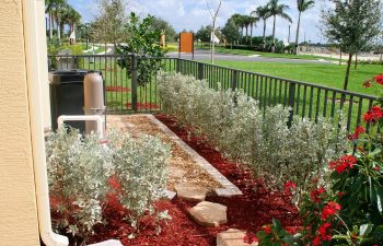 landscaped backyard