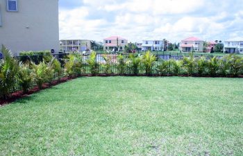 privacy plants surrounding manicured lawn