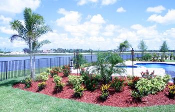 landscaped backyard with swimming pool