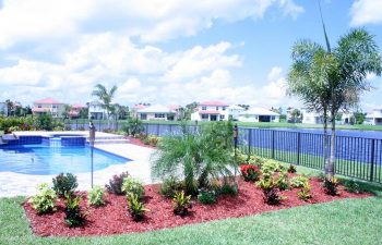 landscaped backyard with swimming pool