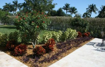 landscaped backyard