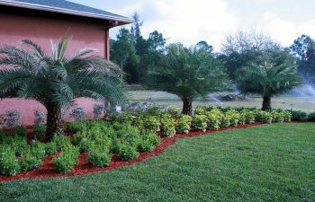 landscaped backyard with working sprinklers