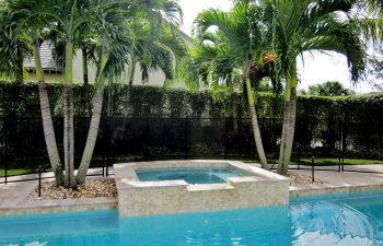 fenced backyard swimming pool and pool deck after renovation