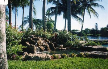 garden with a hardscape waterfall