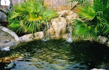 hardscape waterfall in a landscaped backyard