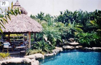 backyard swimming pool with a hardscape waterfall and a tiki hut on a pool patio