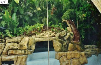 backyard swimming pool with a hardscape waterfall under construction