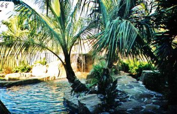 backyard swimming pool with a hardscape waterfall