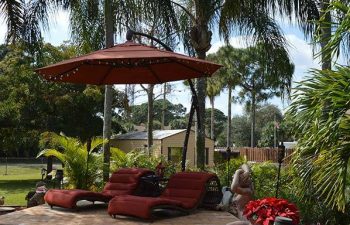 backyard Travertine paver patio with sunbeds by swimming pool