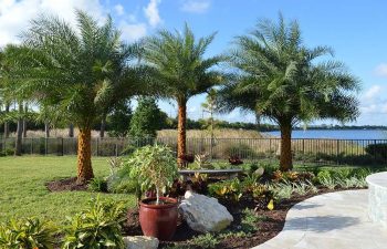 landscaped backyard