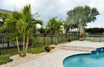 landscaped backyard with swimming pool