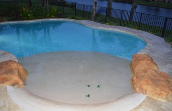 beach entry backyard swimming pool