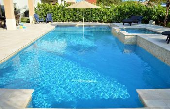 backyard swimming pool with and jacuzzi