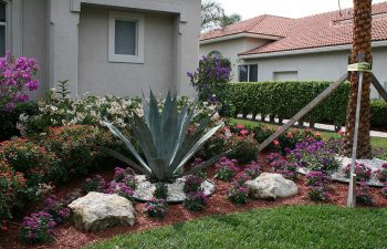 landscaped front yard