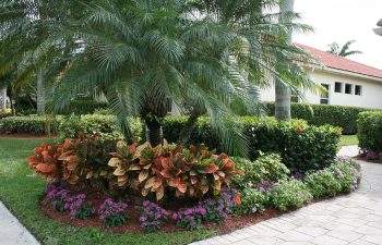 landscaped front yard with artistic pavers