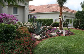 landscaped front yard