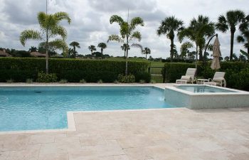 backyard swimming pool with light blue water color and paver deck