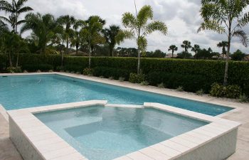backyard swimming pool with light blue water color and paver deck