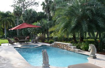 landscaped garden with a swimming pool and outdoor furniture on a deck