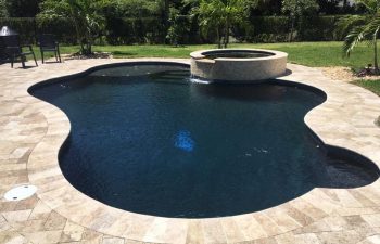 backyard swimming pool and jacuzzi with ebony blue water color