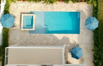 aerial view of swimming pool with jacuzzi in a landscaped backyard