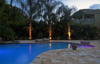 backyard swimming pool with Travertine deck