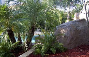 hardscapes by backyard swimming pool