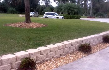 manicured lawn by a driveway